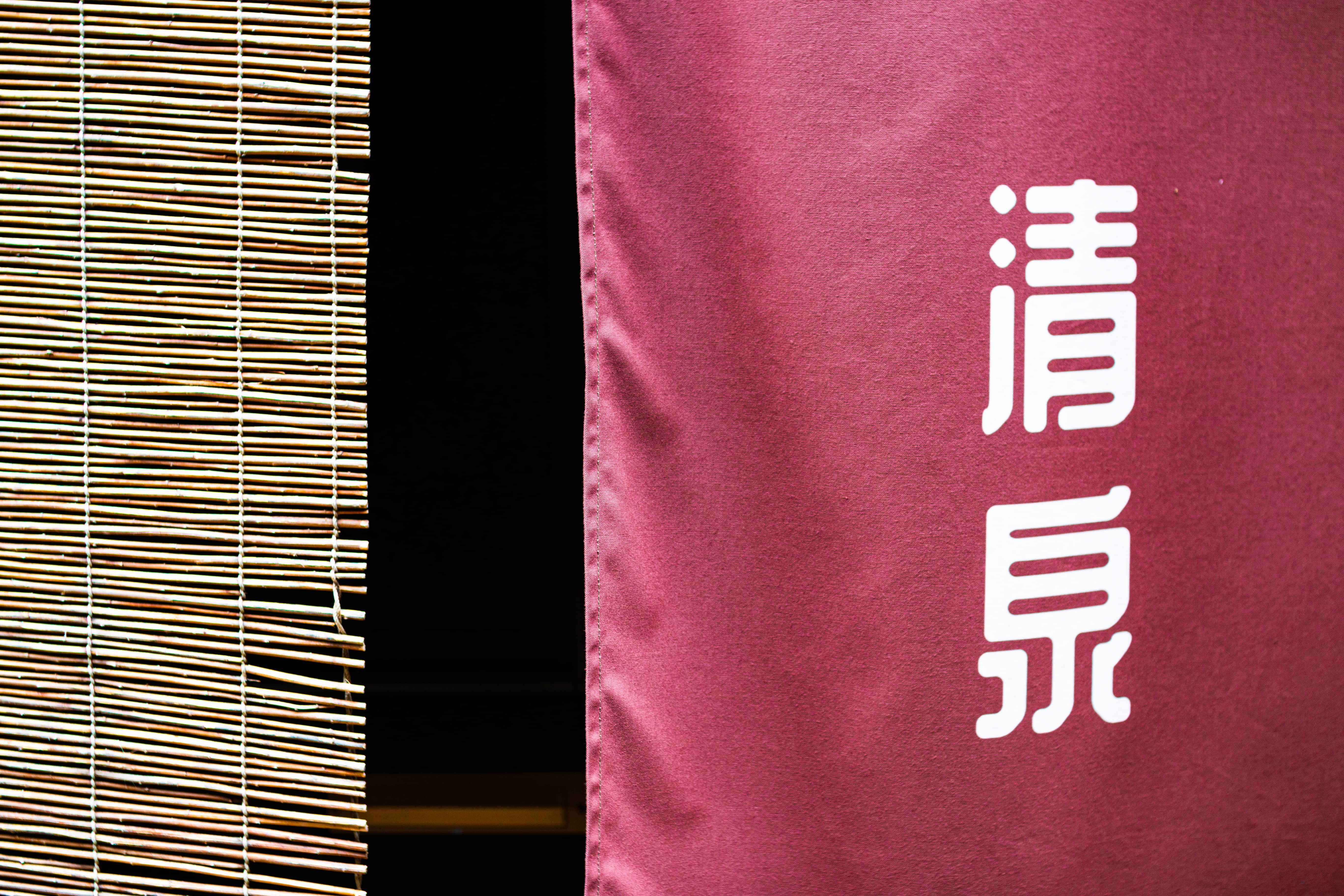 Kyoto closeup